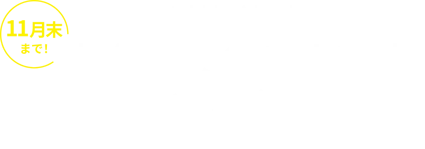 ホットヨガ スタート応援キャンペーン!