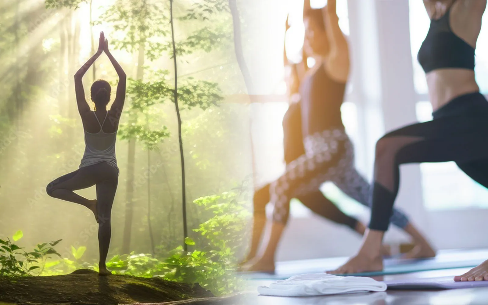 特別プログラム