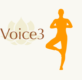 Voice3